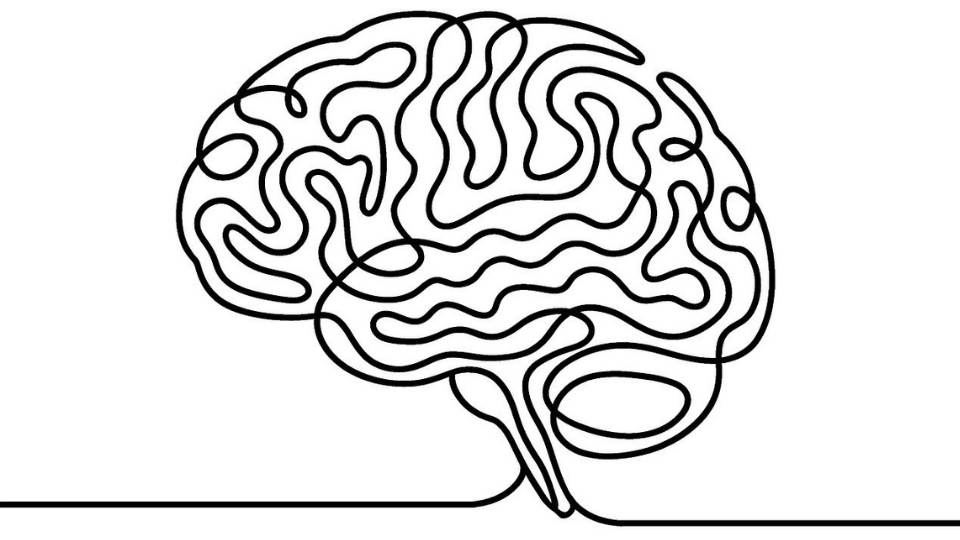 Interaktiver Vortrag Generation 60 Plus