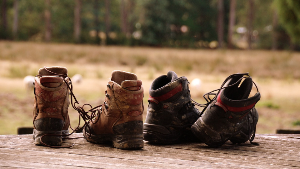 Auf geht es zum Wandern
